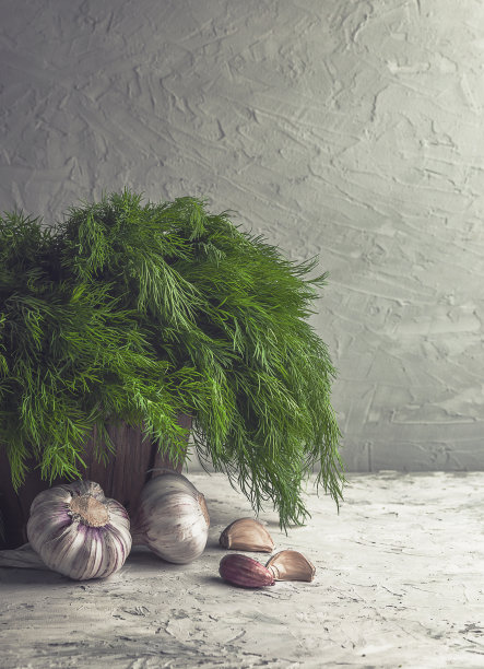 给每个人的健康食品。时令新鲜大蒜和小茴香，健康的生活方式和营养。莳萝和大蒜图片下载