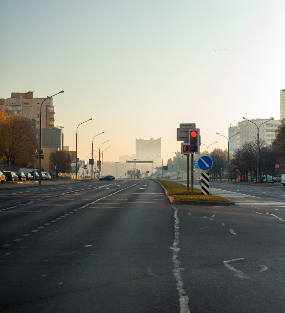 垂直照片的城市街道的房子，道路，汽车和交通信号灯图片下载