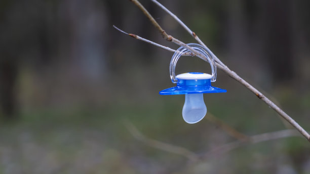 乳头掉在树枝上了。挂在树上的婴儿假人。失去了假。图片下载