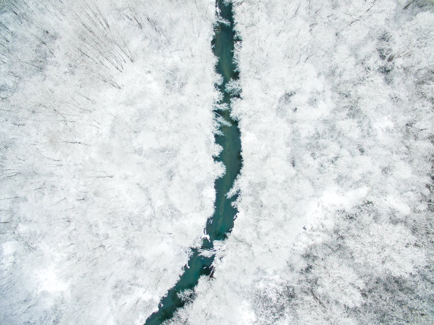 鸟瞰图雪覆盖森林与蓝色的河流图片下载