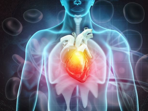 人类心脏解剖学的科学背景图片下载