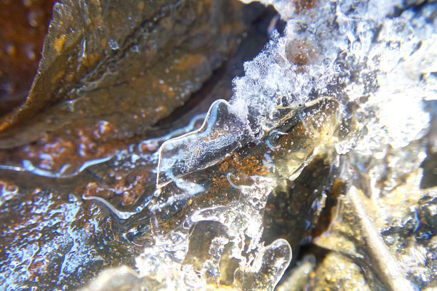 锈在雪里，冰在太阳下的微距照片图片下载