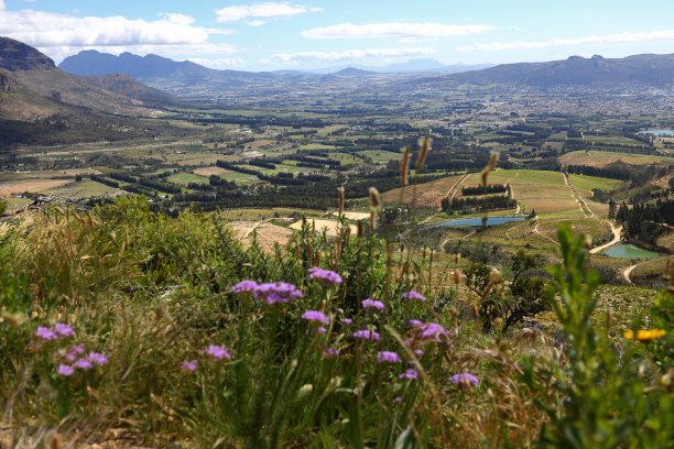 帕尔俯瞰桌山图片下载