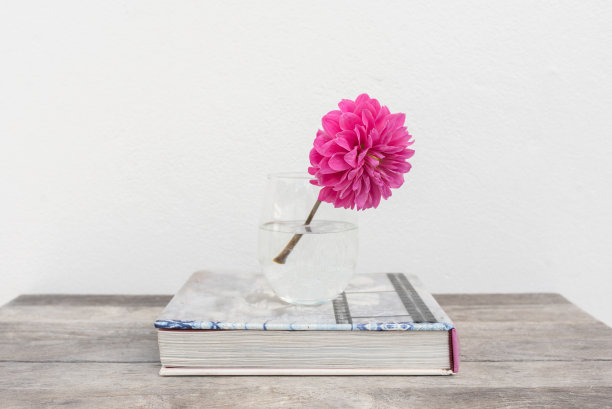 单瓣明亮的粉红色大丽花，玻璃装，放在桌上的书上图片下载