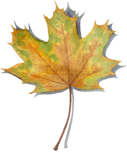 水彩秋叶图片下载