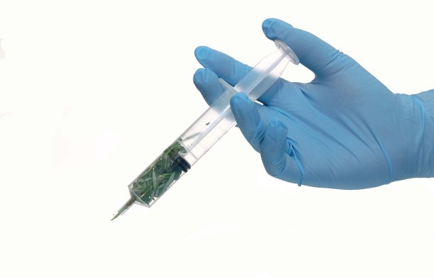 替代疗法，草药，一个人戴着防护手套图片下载