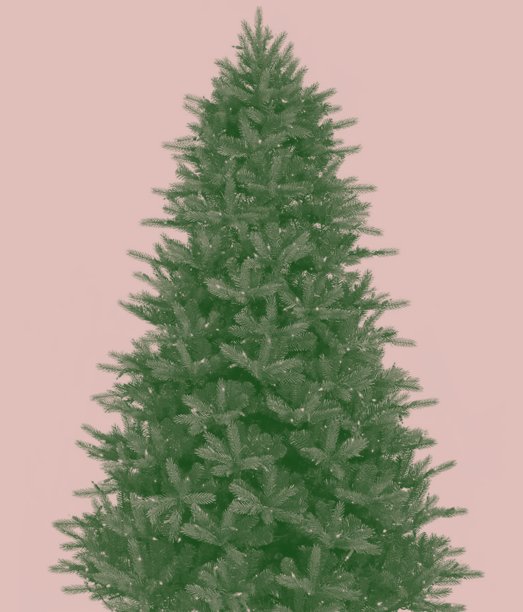 4K圣诞树卡图片下载