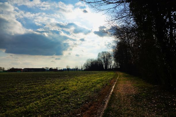 在意大利威尼托帕多瓦乡村拍摄的野外照片图片下载