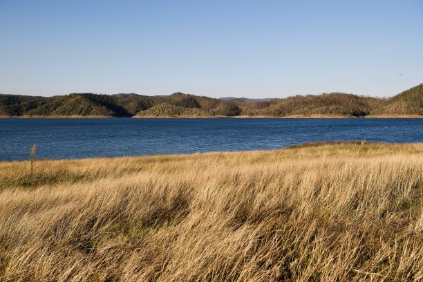 罗伯罗伊黄蒂莫西草和查塔姆斯蓝湖图片下载