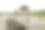 公园里的凉亭，照片作为背景，在西班牙的阿斯图里亚斯共和国，欧洲图片下载