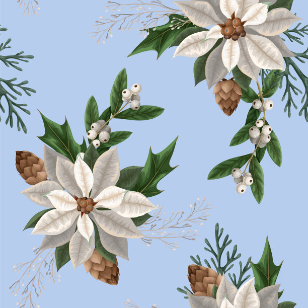 无缝模式与一品红，松树和冬青浆果。圣诞节的背景。图片下载