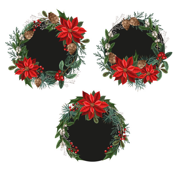 花束与植物浆果，松树和叶子为圣诞节设计孤立图片下载