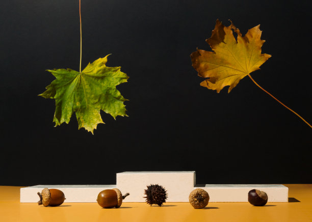 现代产品秋季展示在黑暗的背景与讲台和秋天的叶子。适合产品展示和商业理念。“黑色星期五”的想法。图片下载