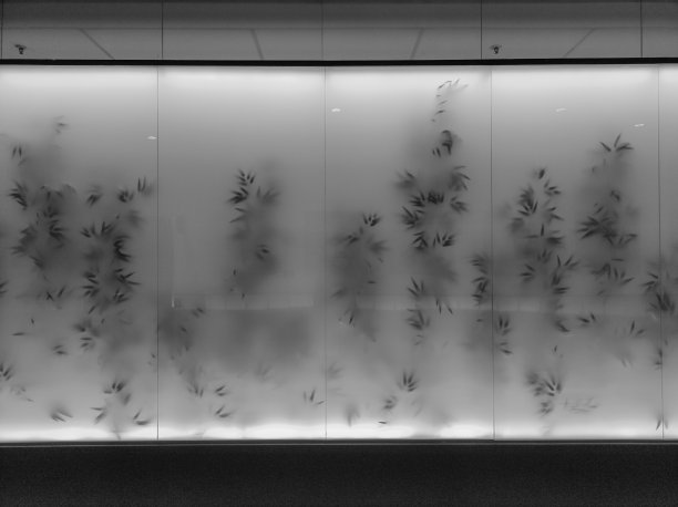 墙用树叶图片下载