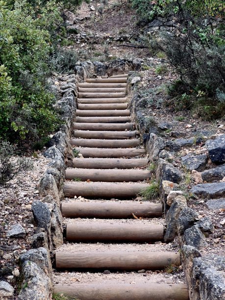 阿尔奇的森林叫做丰特罗哈图片下载