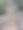 阿尔奇的森林叫做丰特罗哈图片下载