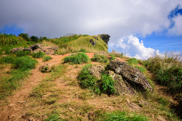 富国发森林公园图片下载