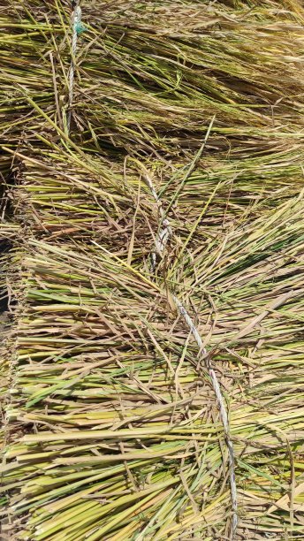 把干草堆图片下载