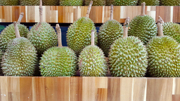 榴莲水果木制货架背景。图片下载