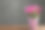 漂亮的粉红色矮牵牛花在木桌上的花盆与灰色的背景。空间的文本图片下载