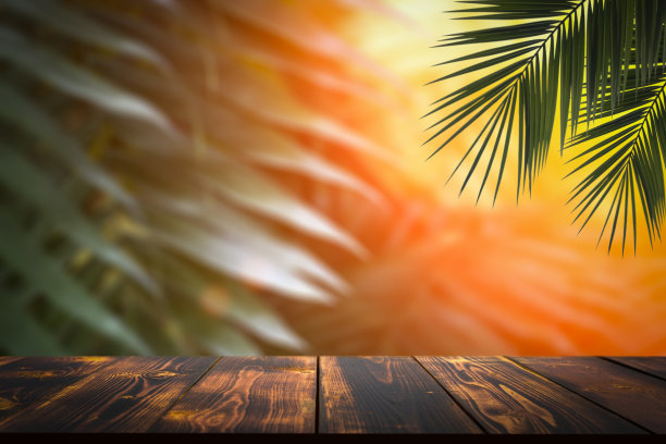 丛林表背景。在热带植物、棕榈树和丛林的背景下，为化妆品项目的室内桌子。图片下载