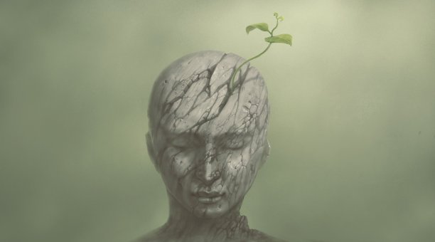 长大后图片下载