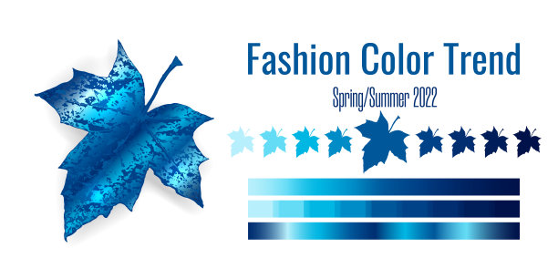 2021-2022春夏时尚色彩趋势。调色板上有不同深浅的深蓝色和渐变。白色背景上的枫叶。油漆调色板模型。矢量图图片下载