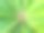 俯视图棕榈叶孤立的背景图片下载