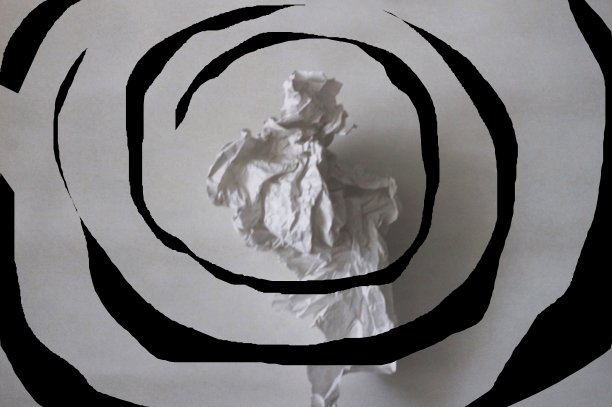 玫瑰花蕾图片下载