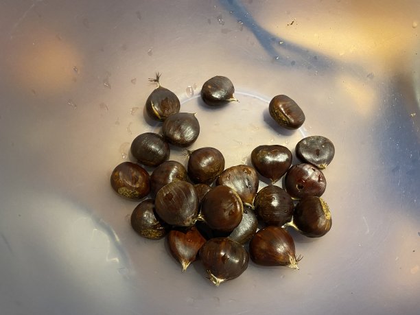 洗栗子在一个塑料碗股票照片图片下载