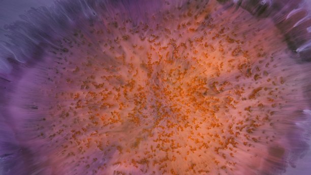 抽象彩色背景的铺展花。一个独特的屏幕保护图片。的背景图片。丙烯酸涂料。酒精墨水。图片下载