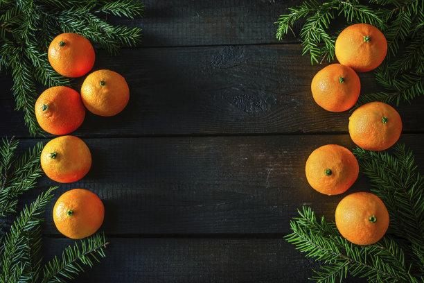 圣诞作文与柑橘和云杉枝图片下载