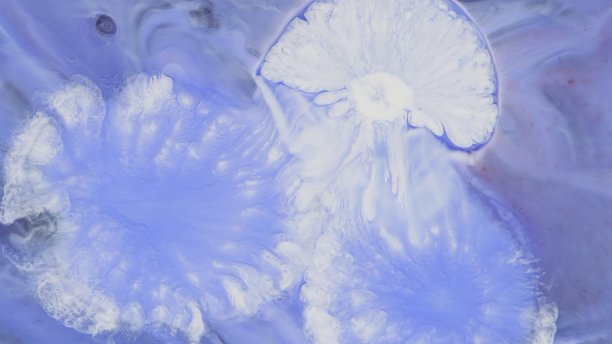 抽象彩色背景的铺展花。一个独特的屏幕保护图片。的背景图片。丙烯酸涂料。酒精墨水。图片下载