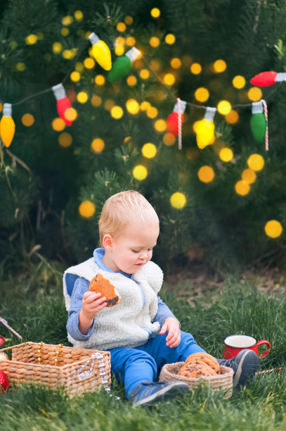 可爱的孩子在用花环装饰的后院吃着圣诞饼干和牛奶……图片下载