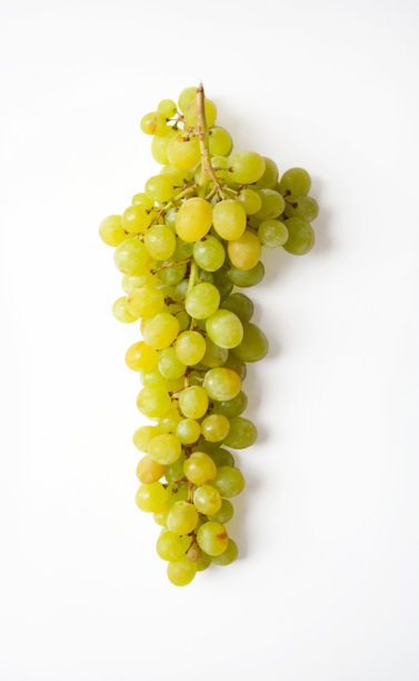 白色背景下一束成熟的葡萄图片下载