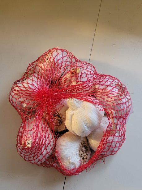 大蒜捆红网图片下载