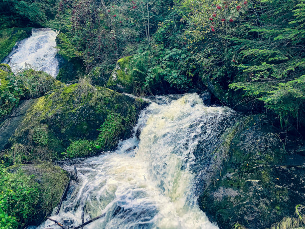 德国黑森林的瀑布。图片下载