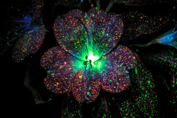 乌维夫图片下载