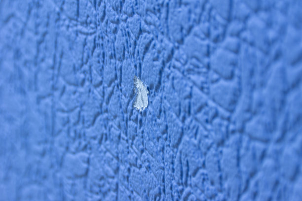 墙上有一张被撕破的墙纸图片下载