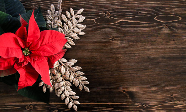 圣诞节的圣诞木背景图片下载