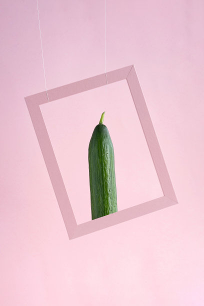 粉色相框里的黄瓜肖像图片下载