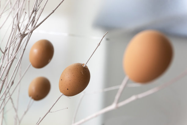 复活节蛋壳装饰背景图片下载