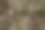 抽象无缝的棕色和绿色伪装纹理图片下载