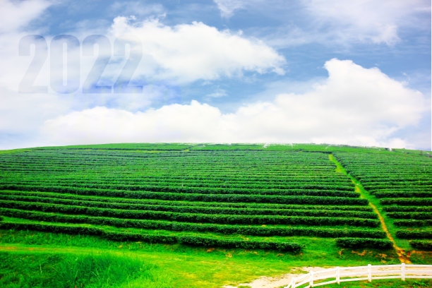 2022年新年理念图片下载