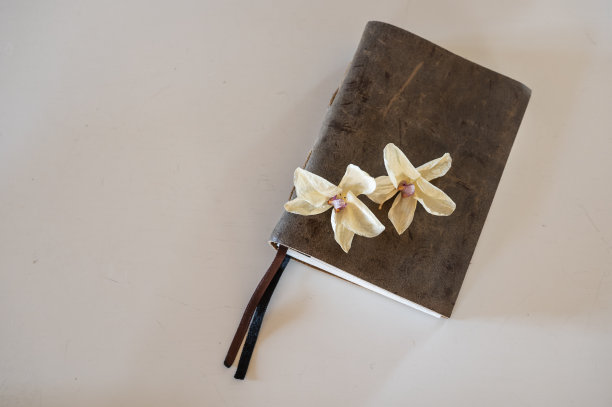 书笔记上的兰花图片下载