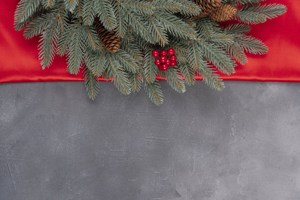 圣诞树的树枝在灰色的灰色背景作为边界或圣诞卡的模板图片下载