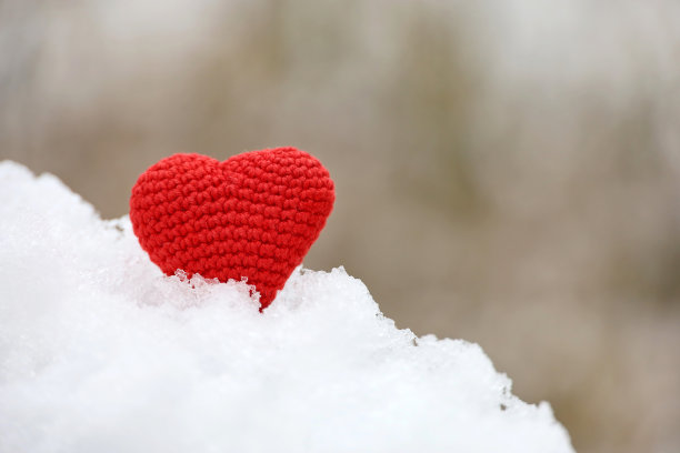 爱的心在雪地里的冬天公园图片下载