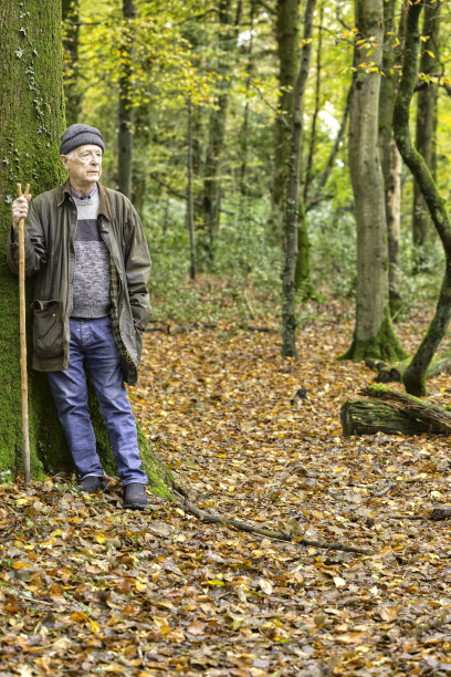 一个树林里的老人图片下载