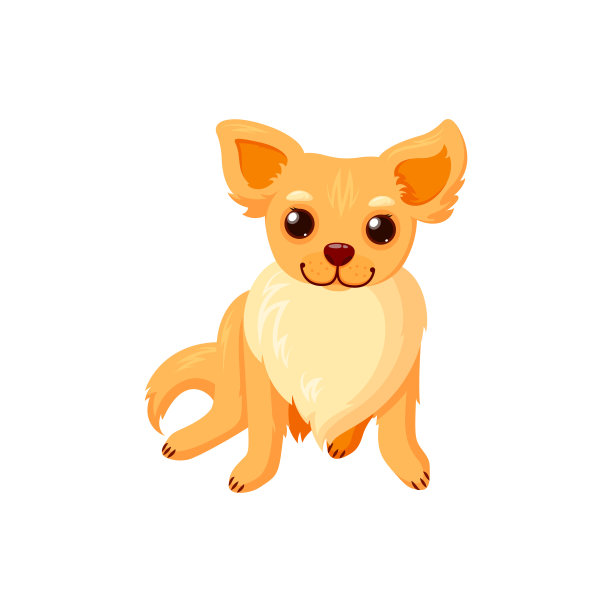 坐在吉娃娃的宠物。纯种狗伴侣孤立在白色背景。矢量图图片下载