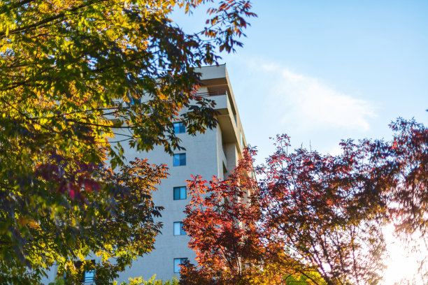 多家庭住宅具有联排别墅牧场级和多层次住宅美国西部照片系列图片下载